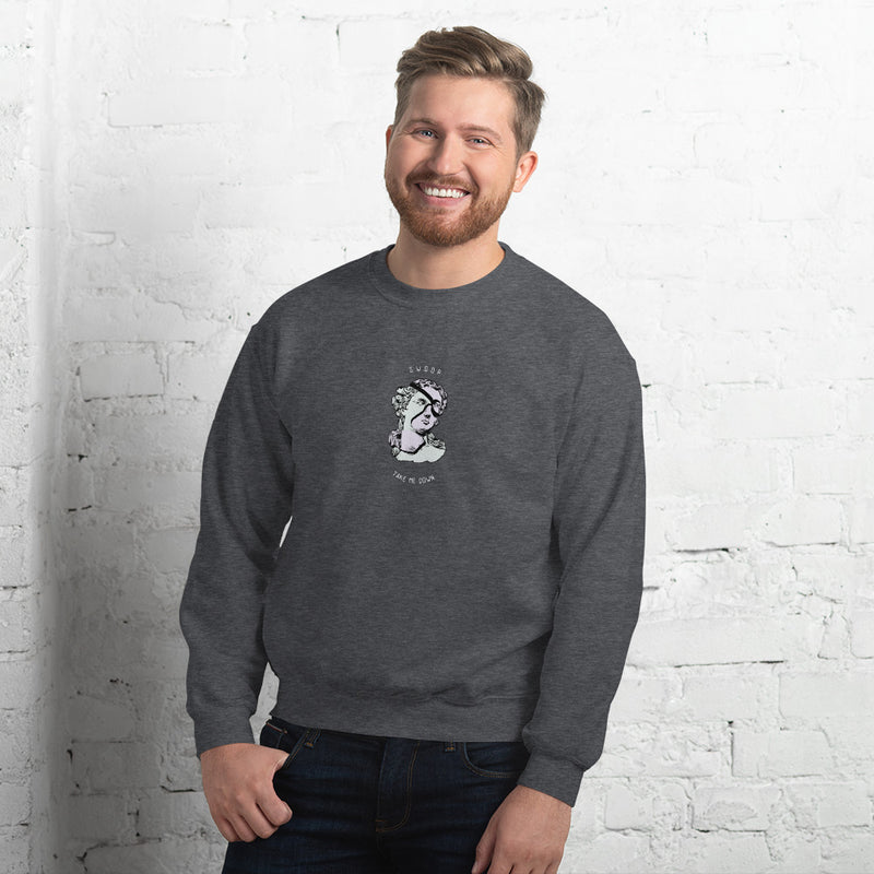 Sweatshirt van katoen en polyester voor koude dagen